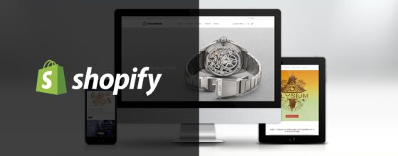 Build a Shopify Site with Unlimited Development Time